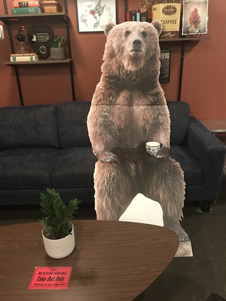 Dog River bear